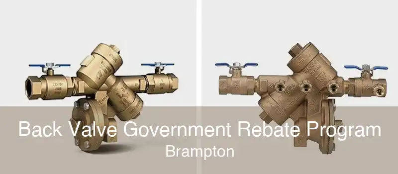 Back Valve Government Rebate Program Brampton