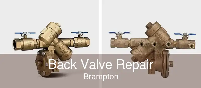 Back Valve Repair Brampton