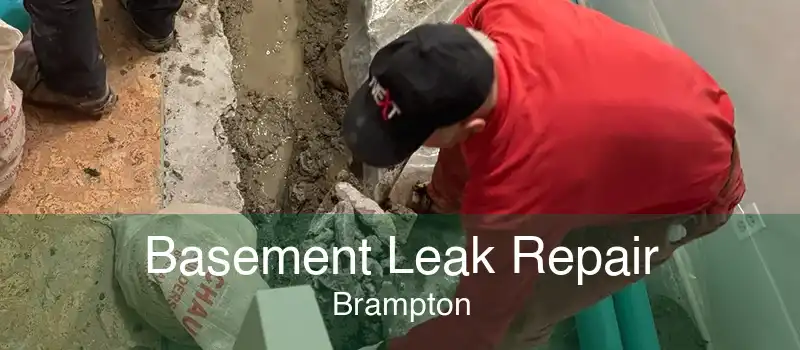 Basement Leak Repair Brampton