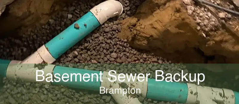 Basement Sewer Backup Brampton