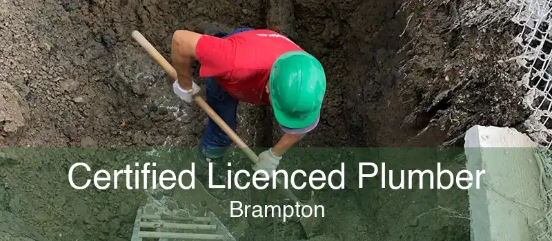 Certified Licenced Plumber Brampton