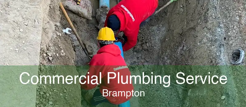 Commercial Plumbing Service Brampton