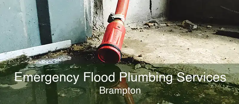 Emergency Flood Plumbing Services Brampton