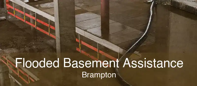 Flooded Basement Assistance Brampton