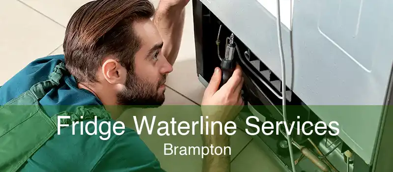Fridge Waterline Services Brampton