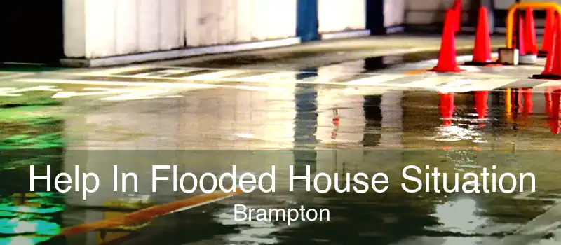 Help In Flooded House Situation Brampton