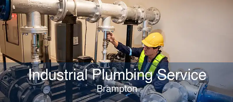 Industrial Plumbing Service Brampton