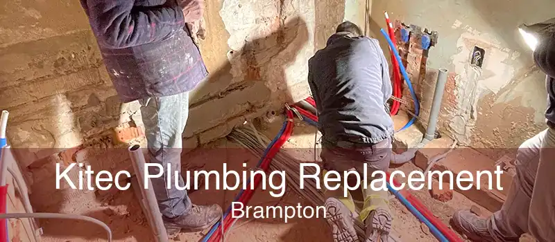 Kitec Plumbing Replacement Brampton