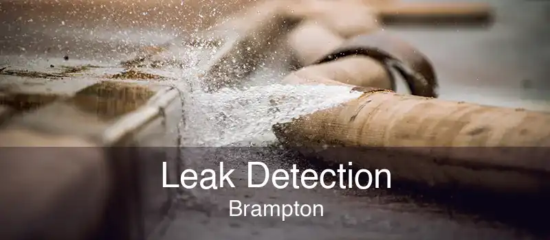 Leak Detection Brampton