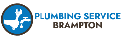 Top Rated Plumbing Service in Brampton