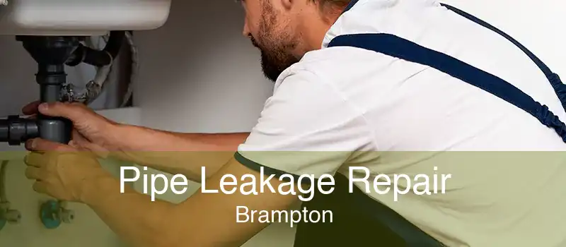Pipe Leakage Repair Brampton