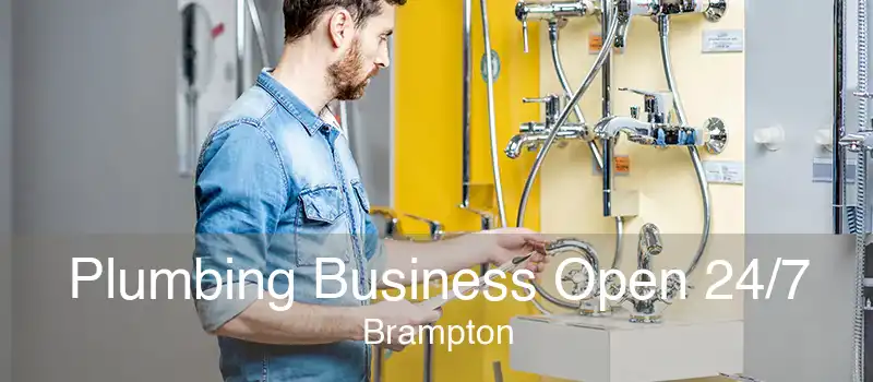 Plumbing Business Open 24/7 Brampton