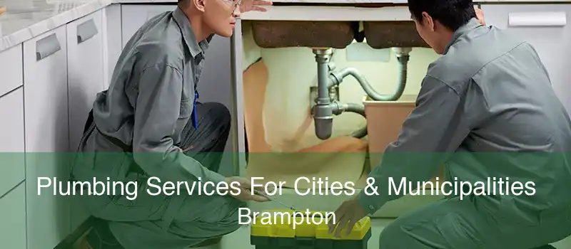 Plumbing Services For Cities & Municipalities Brampton