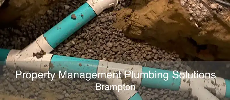 Property Management Plumbing Solutions Brampton