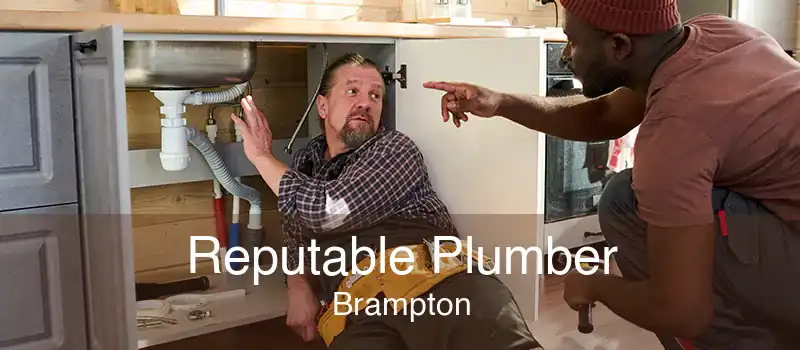 Reputable Plumber Brampton