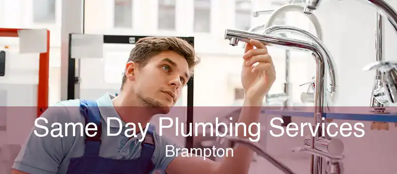 Same Day Plumbing Services Brampton