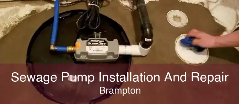 Sewage Pump Installation And Repair Brampton
