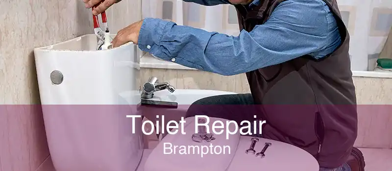 Toilet Repair Brampton