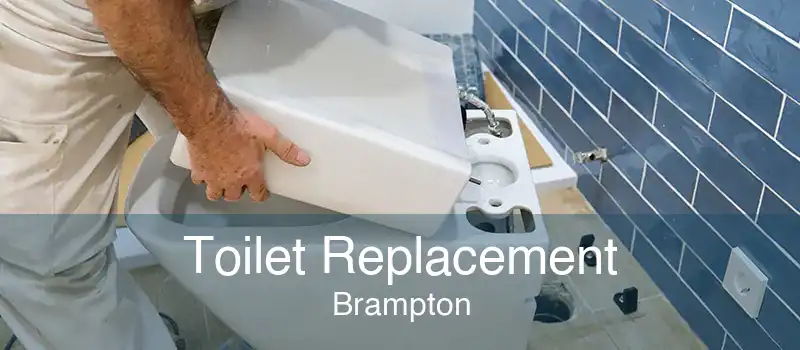 Toilet Replacement Brampton