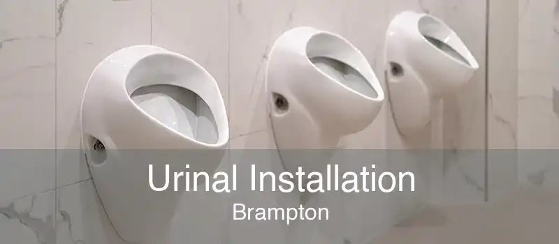 Urinal Installation Brampton