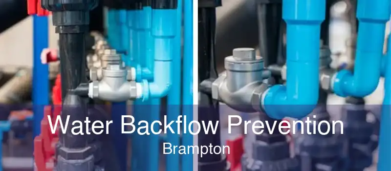 Water Backflow Prevention Brampton