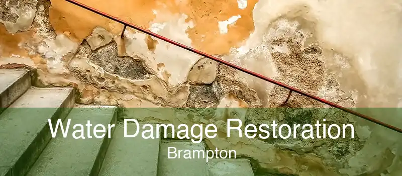 Water Damage Restoration Brampton