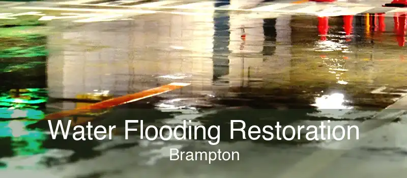 Water Flooding Restoration Brampton