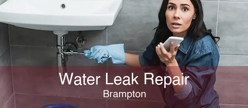 Water Leak Repair Brampton