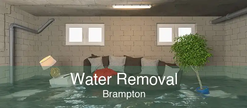 Water Removal Brampton