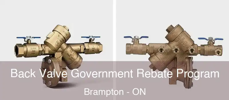  Back Valve Government Rebate Program Brampton - ON