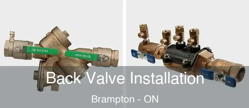  Back Valve Installation Brampton - ON