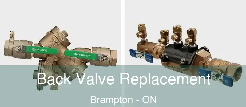 Back Valve Replacement Brampton - ON