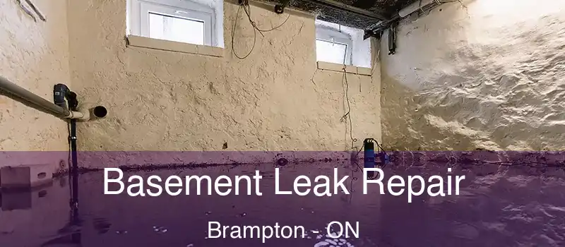  Basement Leak Repair Brampton - ON