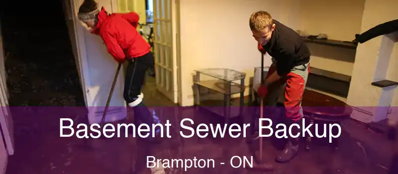  Basement Sewer Backup Brampton - ON