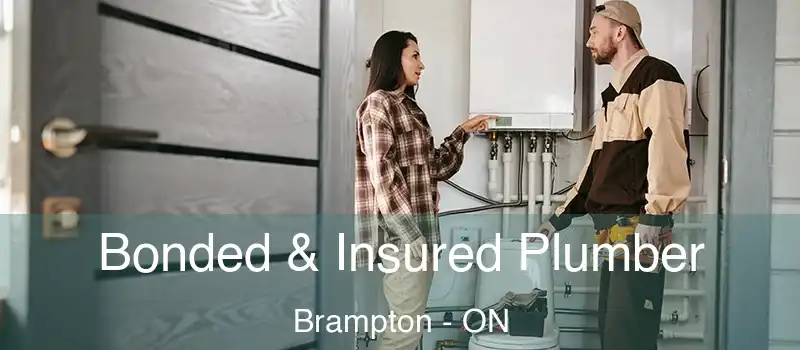  Bonded & Insured Plumber Brampton - ON