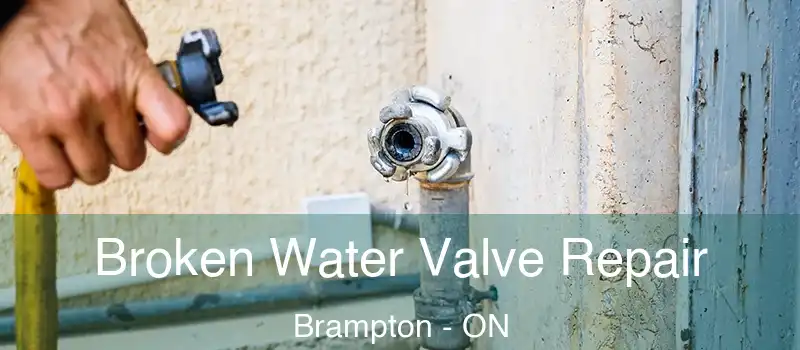  Broken Water Valve Repair Brampton - ON