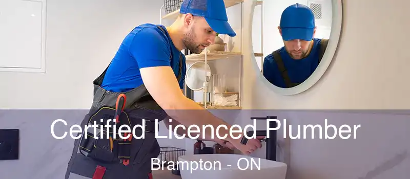  Certified Licenced Plumber Brampton - ON