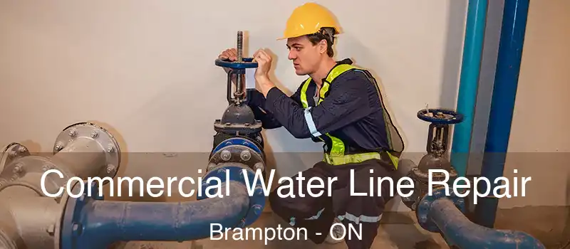  Commercial Water Line Repair Brampton - ON