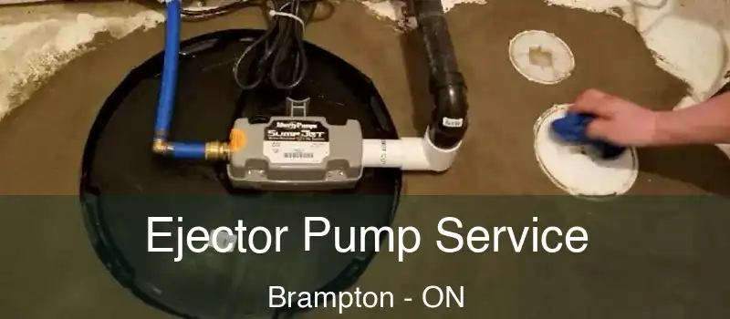  Ejector Pump Service Brampton - ON