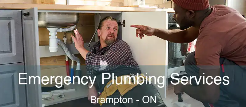  Emergency Plumbing Services Brampton - ON