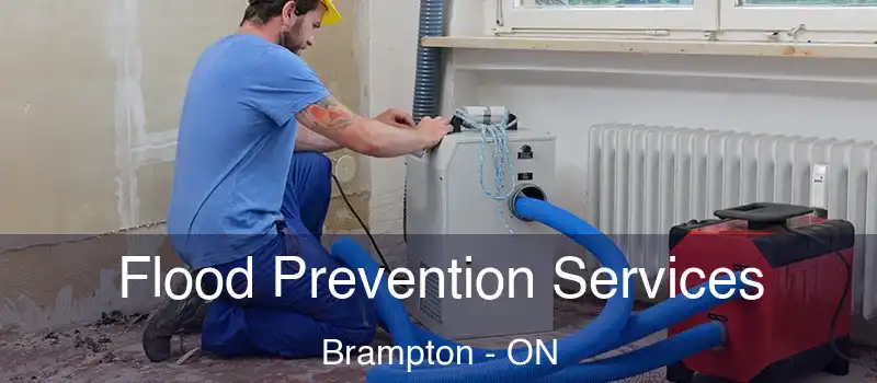  Flood Prevention Services Brampton - ON