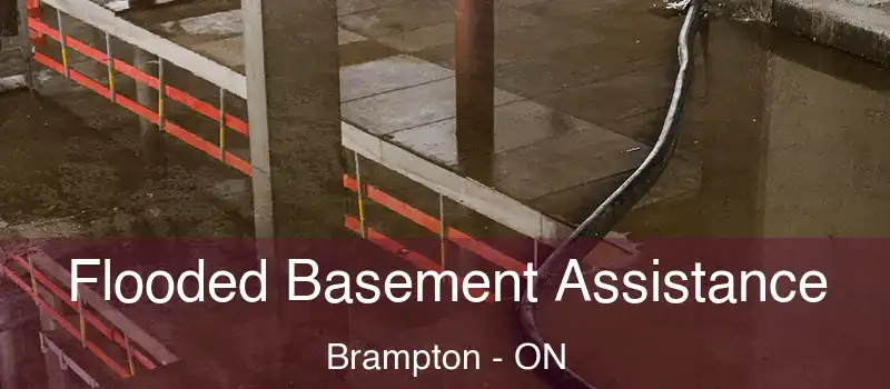  Flooded Basement Assistance Brampton - ON