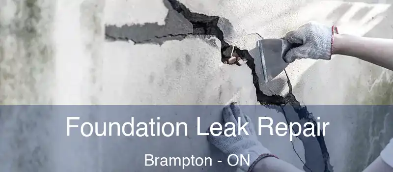  Foundation Leak Repair Brampton - ON