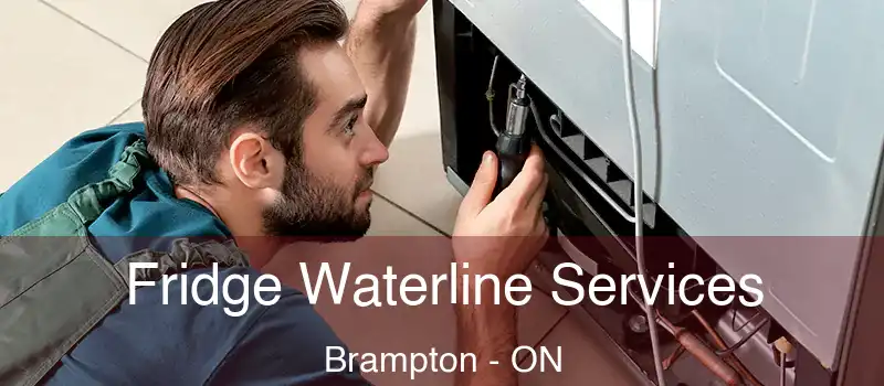  Fridge Waterline Services Brampton - ON