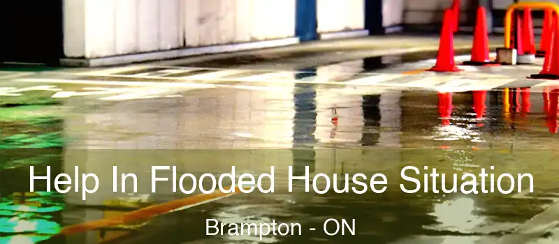  Help In Flooded House Situation Brampton - ON