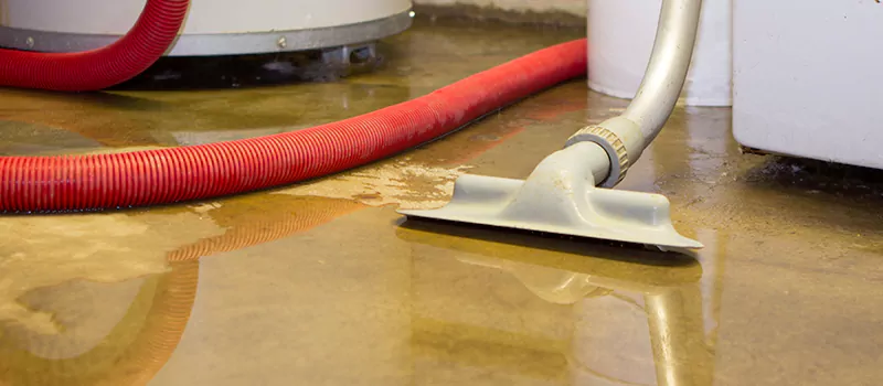 Professional Sewer Backup Cleanup Services in Brampton, ON