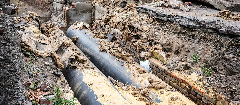 Commercial Sewer Tree Roots Damage Solutions in Brampton, ON