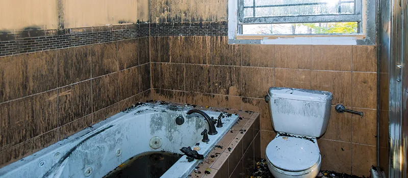 Residential Water Damage Restoration in Brampton, ON