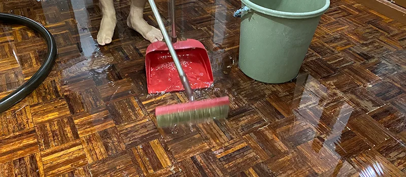 Water Removal And Restoration Services in Brampton, ON