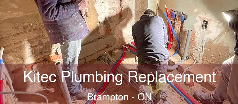  Kitec Plumbing Replacement Brampton - ON